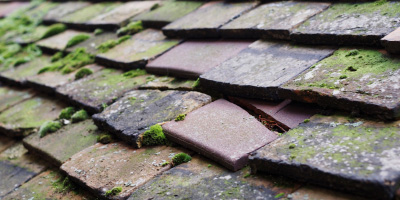 Lye Green roof repair costs